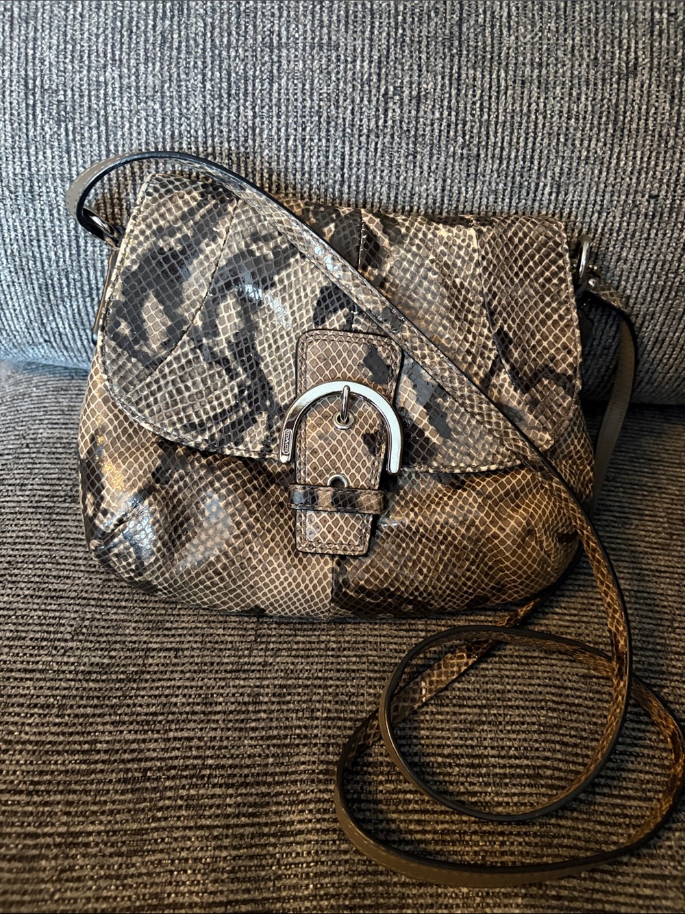 Snake-Embossed (Python) Crossbody Bag in Taupe and Black